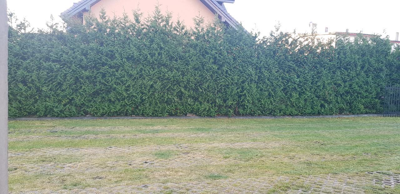 Pokoje Goscinne Pryzmat Władysławowo Exteriör bild